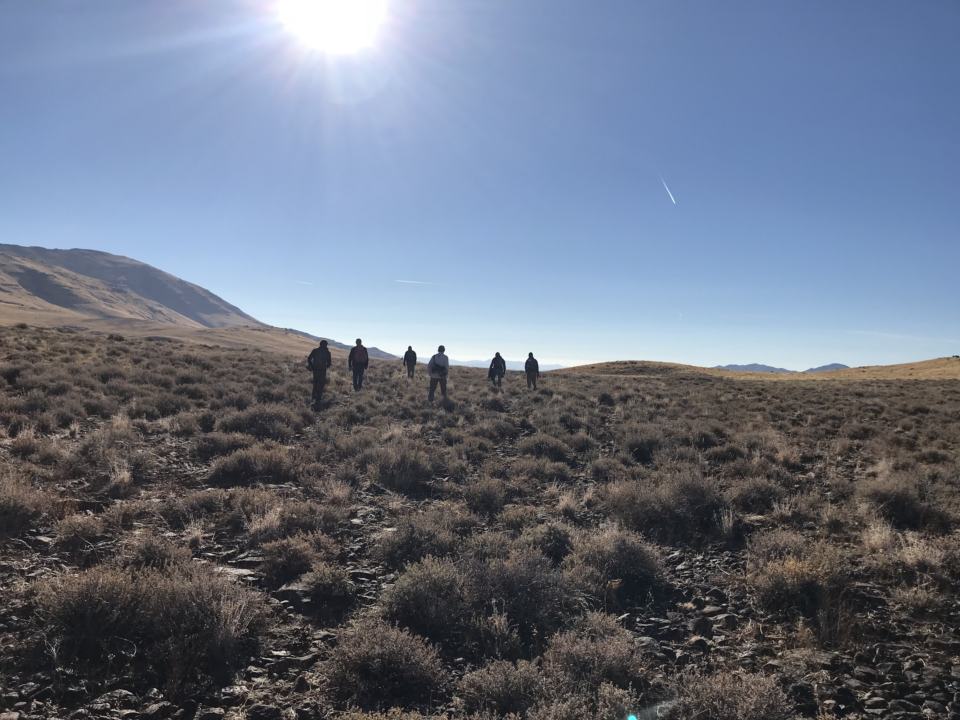 Sagebrush Planting 2