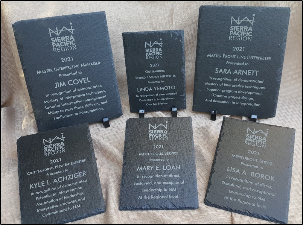 Nominations sought for 2022&nbsp;Awards